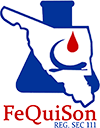 Logo FEQUISON